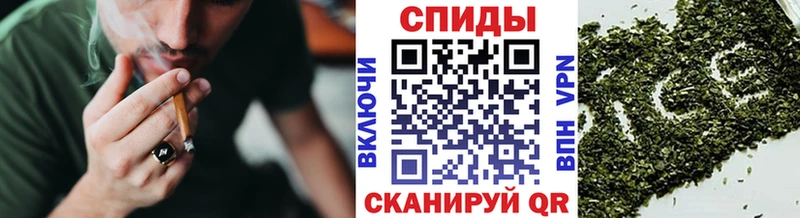 БУТИРАТ BDO 33%  Бакал 