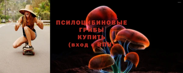 apvp Санкт-Петербург