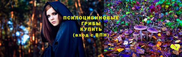 крисы Узловая